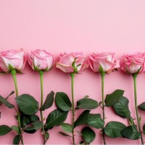 Meet your Posher, Luchii 🌸🤎